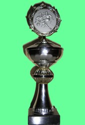 Fu&szlig;ball Pokal 5. Klasse