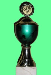 Pokal